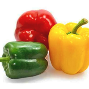 fresh bell pepper (premium shimla mirchi)
