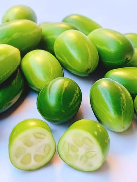 fresh ivy gourd (tindora) fresh ivy gourd (tindora)